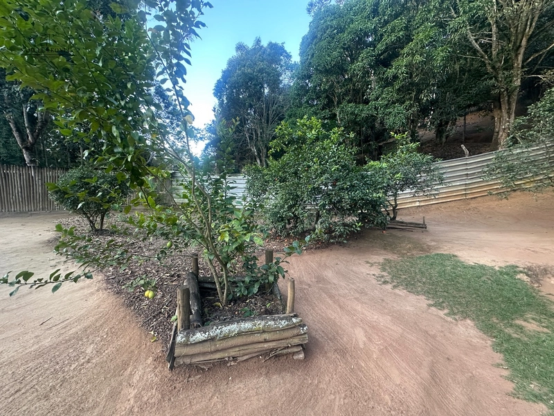 Chácara a venda em Juiz de Fora: 39ª foto da galeria de imagens do imóvel