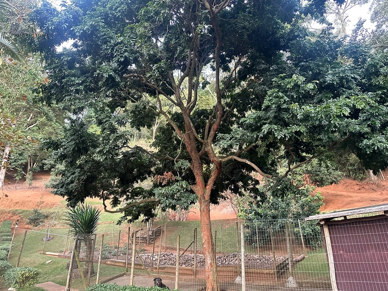 Chácara a venda em Juiz de Fora: 31ª foto da galeria de imagens do imóvel