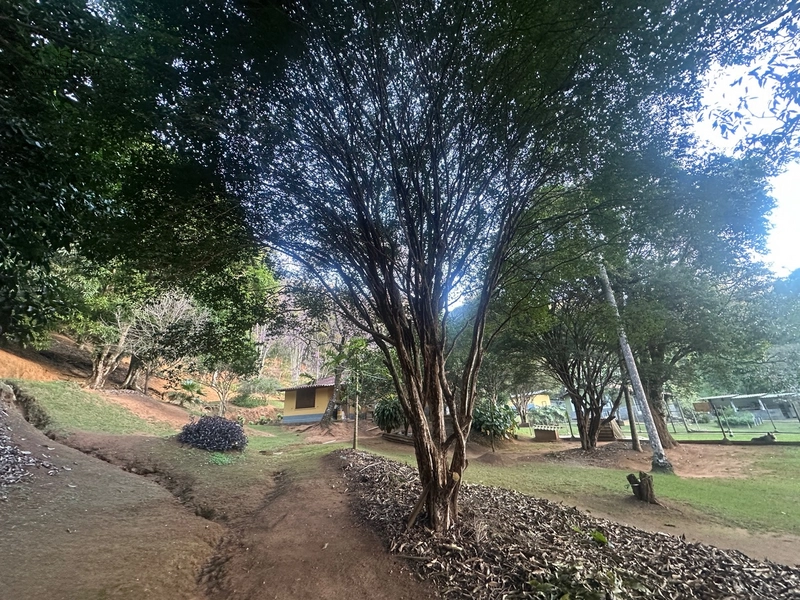 Chácara a venda em Juiz de Fora: 35ª foto da galeria de imagens do imóvel