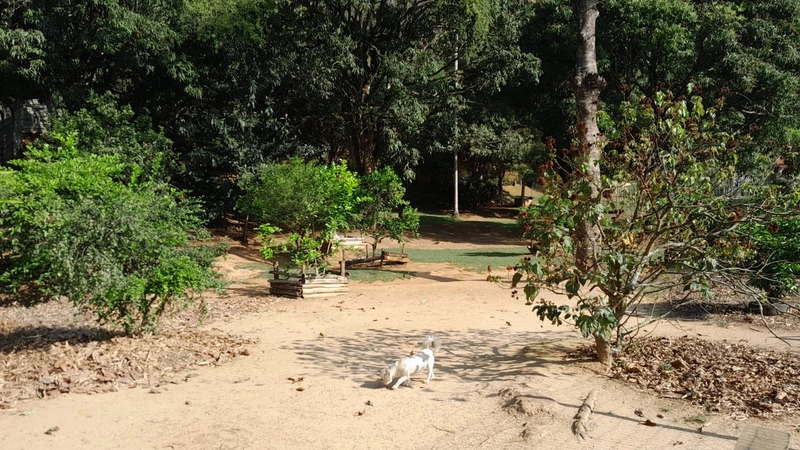 Chácara a venda em Juiz de Fora: 29ª foto da galeria de imagens do imóvel