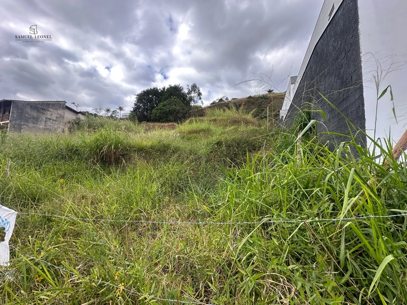 Lote de 1050m2 em rua plana a venda: 2ª foto da galeria de imagens do imóvel