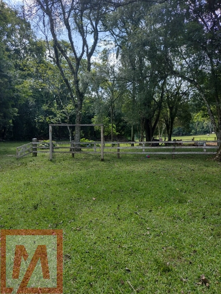Belo sitio a venda possuído 6 hectares .: 24ª foto da galeria de imagens do imóvel