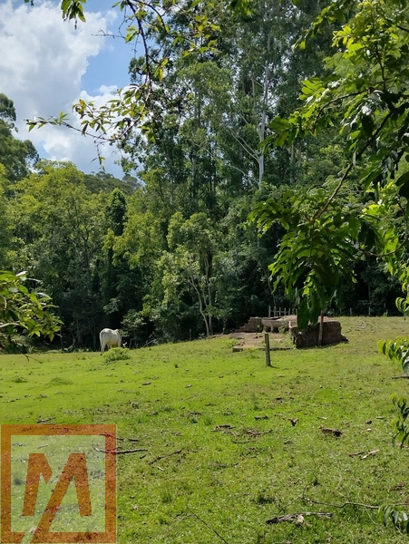 Belo sitio a venda possuído 6 hectares .: 29ª foto da galeria de imagens do imóvel