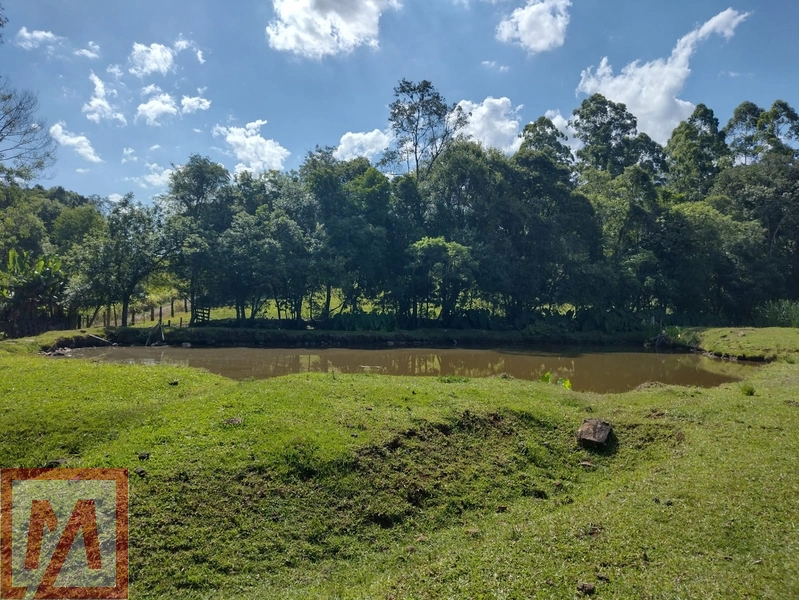Belo sitio a venda possuído 6 hectares .: 25ª foto da galeria de imagens do imóvel