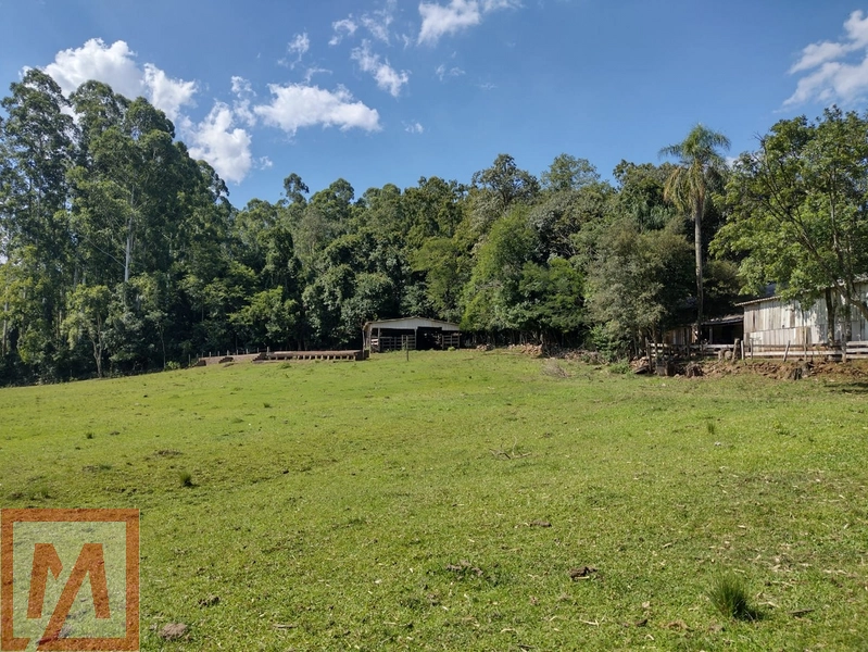 Belo sitio a venda possuído 6 hectares .: 5ª foto da galeria de imagens do imóvel