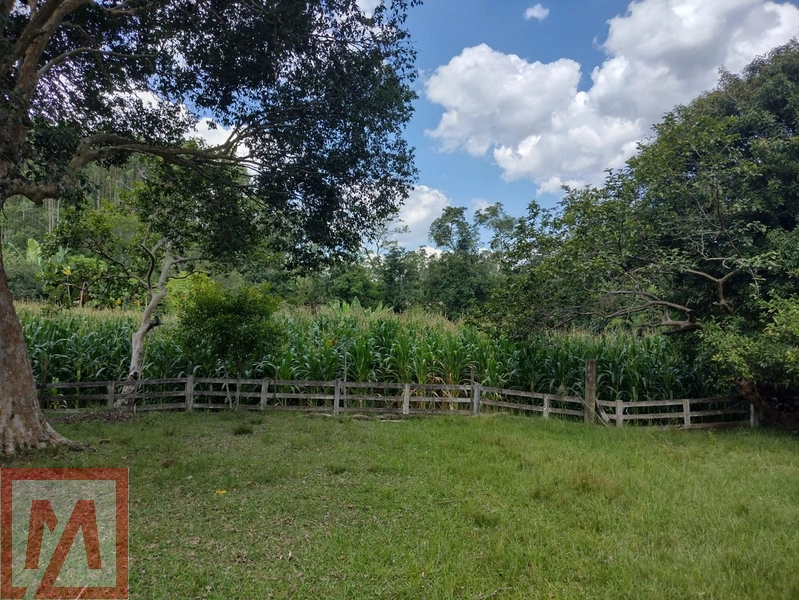 Belo sitio a venda possuído 6 hectares .: 27ª foto da galeria de imagens do imóvel