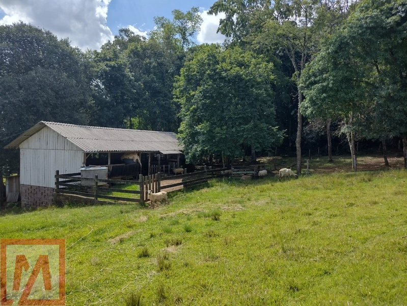 Belo sitio a venda possuído 6 hectares .: 3ª foto da galeria de imagens do imóvel