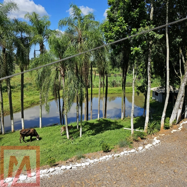 Sítio à venda em Bom Princípio/RS: 7ª foto da galeria de imagens do imóvel