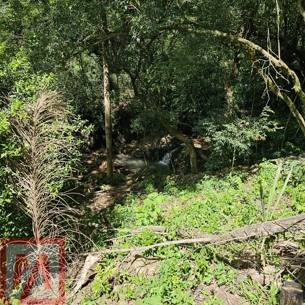 Sítio à venda em Bom Princípio/RS: 6ª foto da galeria de imagens do imóvel