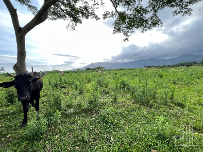 Sítio de 1,5 Hectares com Casa Completa e Infraestrutura de Lazer!: 17ª foto da galeria de imagens do imóvel