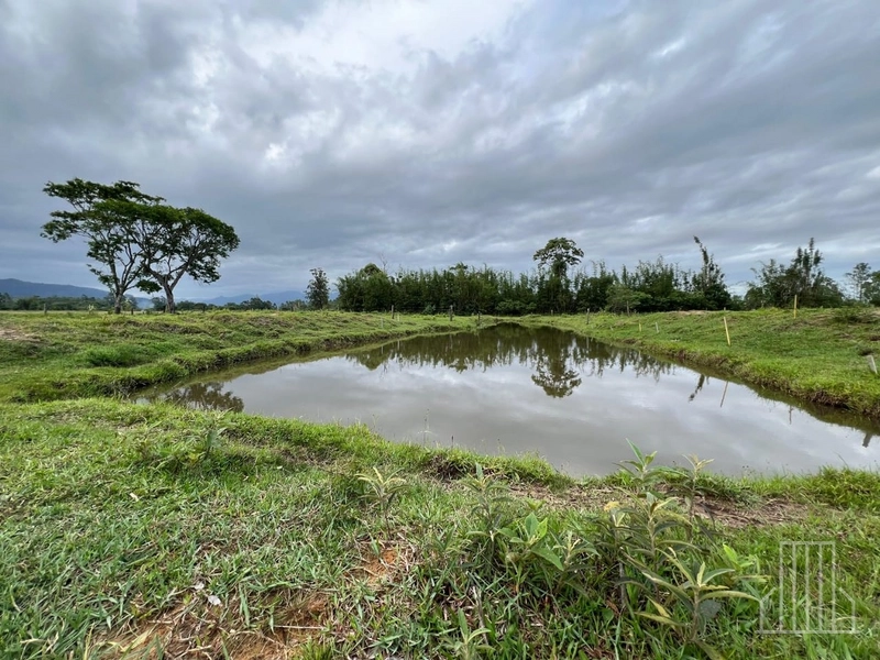 Sítio de 1,5 Hectares com Casa Completa e Infraestrutura de Lazer!: 23ª foto da galeria de imagens do imóvel