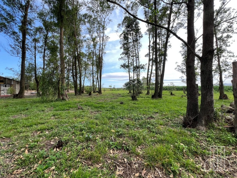 Sítio de 1,5 Hectares com Casa Completa e Infraestrutura de Lazer!: 14ª foto da galeria de imagens do imóvel
