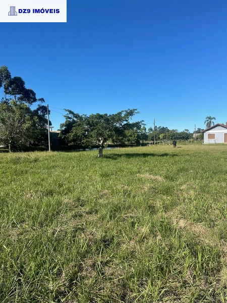 Casa de 2 dormitórios, ampla área e espaço para animais.: 4ª foto da galeria de imagens do imóvel