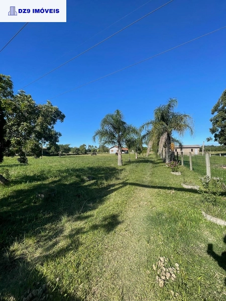 Casa de 2 dormitórios, ampla área e espaço para animais.: 13ª foto da galeria de imagens do imóvel