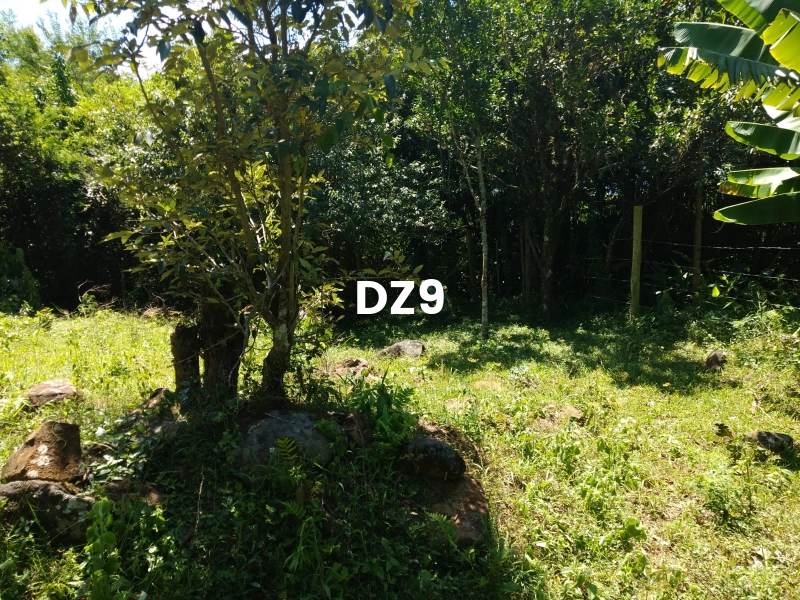 EXCELENTE SÍTIO À VENDA EM ITATI - ROTA DO SOL, KM 23: 8ª foto da galeria de imagens do imóvel