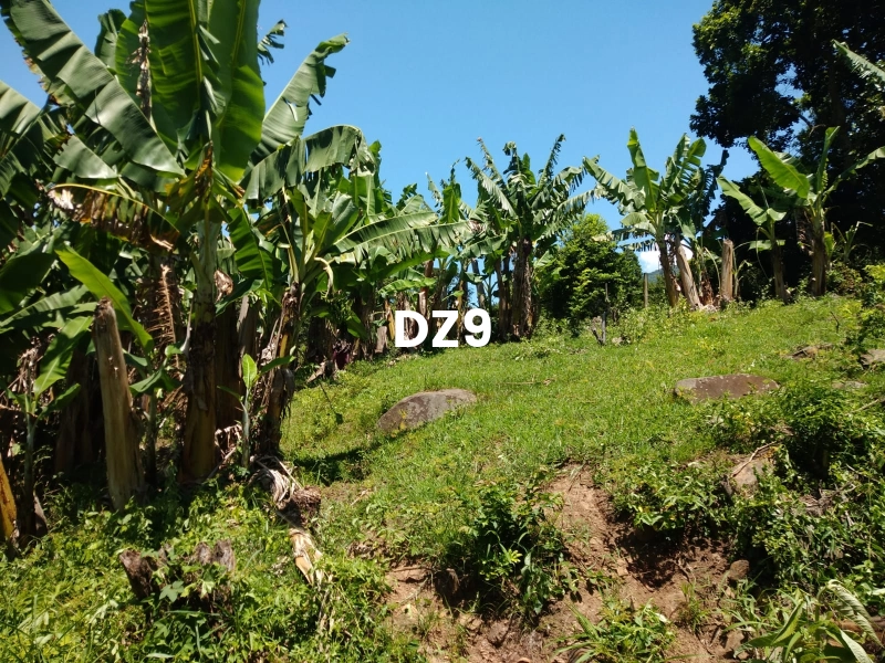 EXCELENTE SÍTIO À VENDA EM ITATI - ROTA DO SOL, KM 23: 7ª foto da galeria de imagens do imóvel
