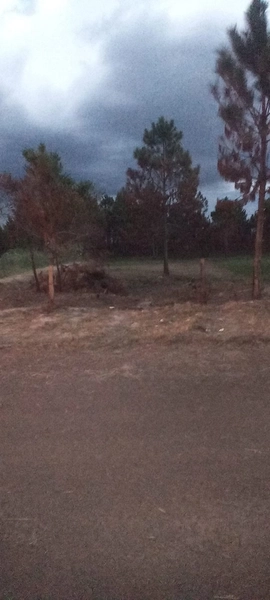 EXCELENTE OPORTUNIDADE: 3ª foto da galeria de imagens do imóvel