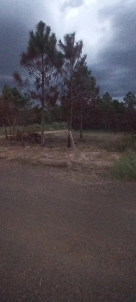 EXCELENTE OPORTUNIDADE: 5ª foto da galeria de imagens do imóvel