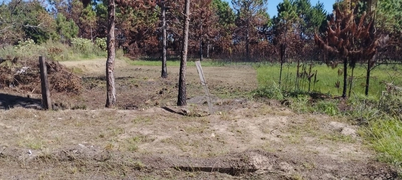 EXCELENTE OPORTUNIDADE: 1ª foto da galeria de imagens do imóvel