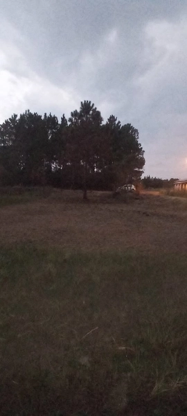 EXCELENTE OPORTUNIDADE: 7ª foto da galeria de imagens do imóvel