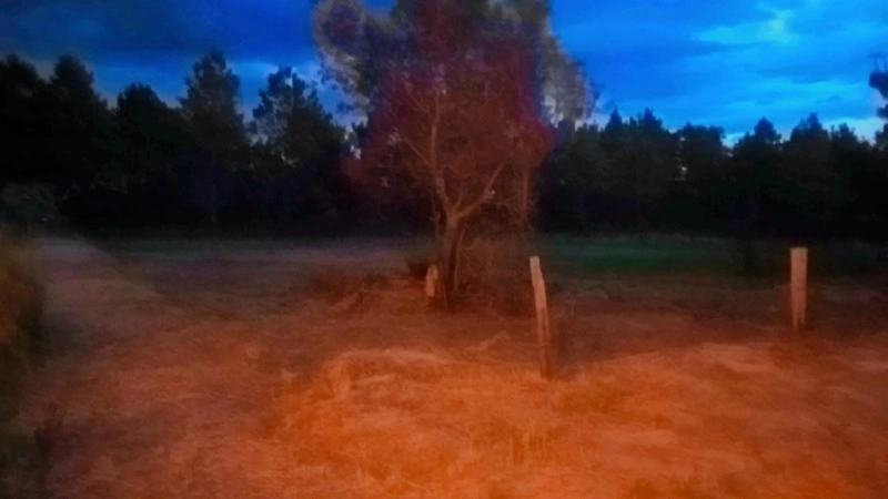 EXCELENTE OPORTUNIDADE: 2ª foto da galeria de imagens do imóvel