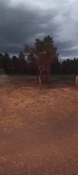 EXCELENTE OPORTUNIDADE: 4ª foto da galeria de imagens do imóvel