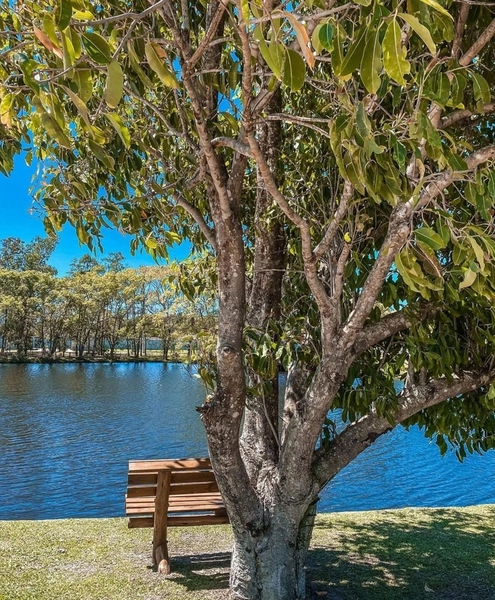 EXCELENTE OPORTUNIDADE: 14ª foto da galeria de imagens do imóvel