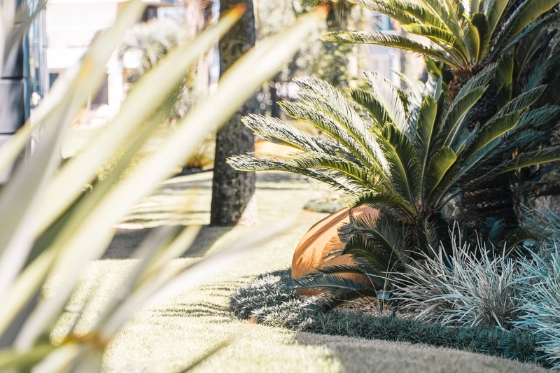 BELO SOBRADO: 21ª foto da galeria de imagens do imóvel