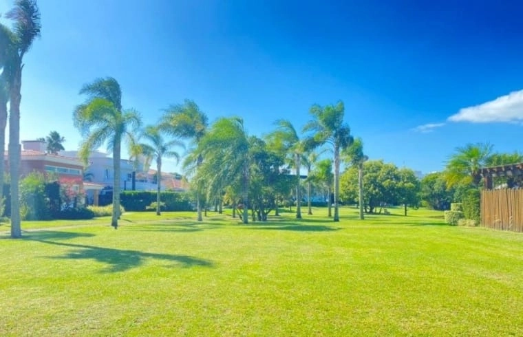 BELO TERRENO: 4ª foto da galeria de imagens do imóvel