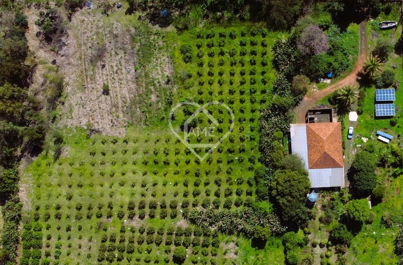 Sítio com 18.779 m² e Pomar em Foz: 1ª foto da galeria de imagens do imóvel