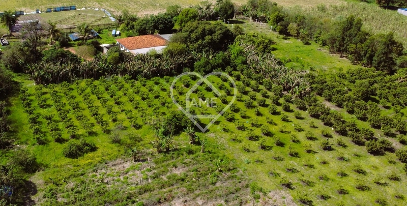 Sítio com 18.779 m² e Pomar em Foz: 2ª foto da galeria de imagens do imóvel