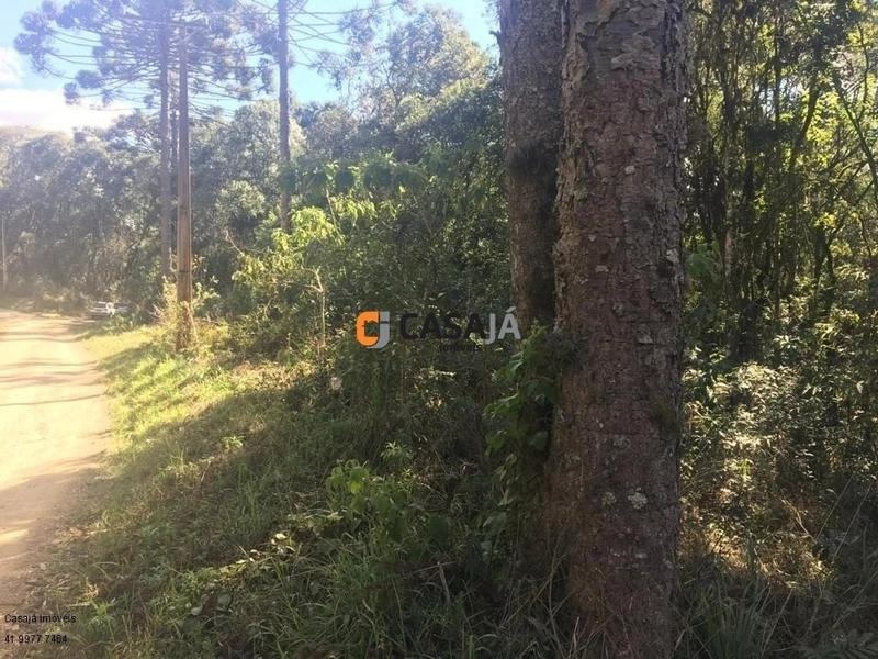 Terreno de 43.000m² em Contenda – Construa Sua Chácara dos Sonhos!: 7ª foto da galeria de imagens do imóvel