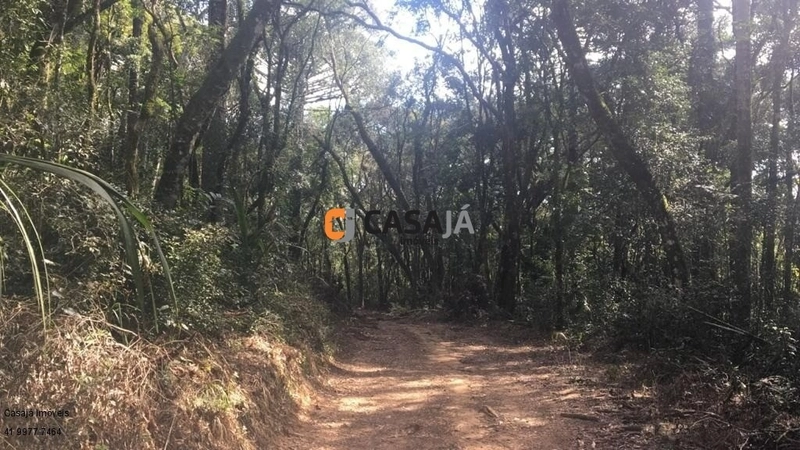 Terreno de 43.000m² em Contenda – Construa Sua Chácara dos Sonhos!: 3ª foto da galeria de imagens do imóvel