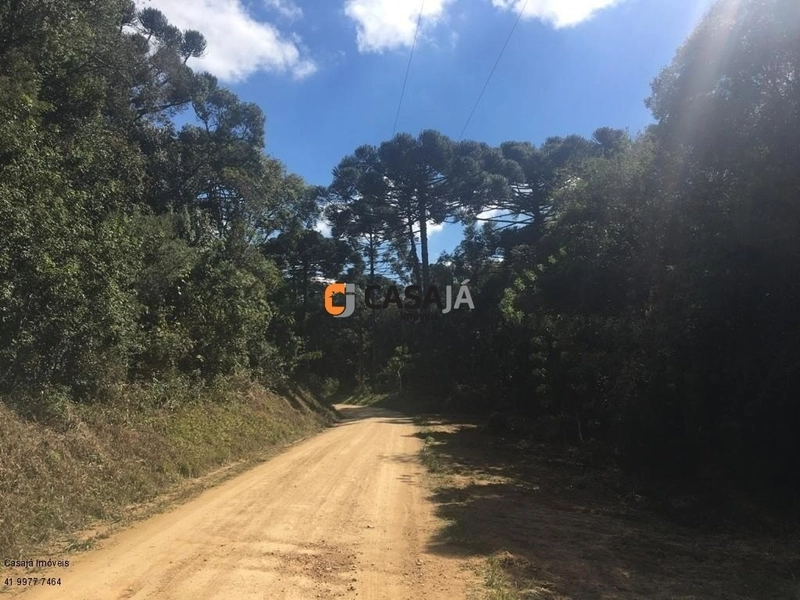 Terreno de 43.000m² em Contenda – Construa Sua Chácara dos Sonhos!: 5ª foto da galeria de imagens do imóvel