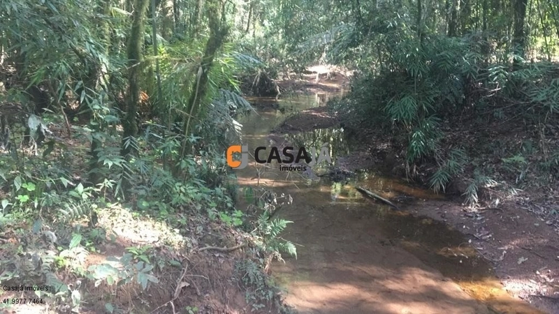 Terreno de 43.000m² em Contenda – Construa Sua Chácara dos Sonhos!: 4ª foto da galeria de imagens do imóvel