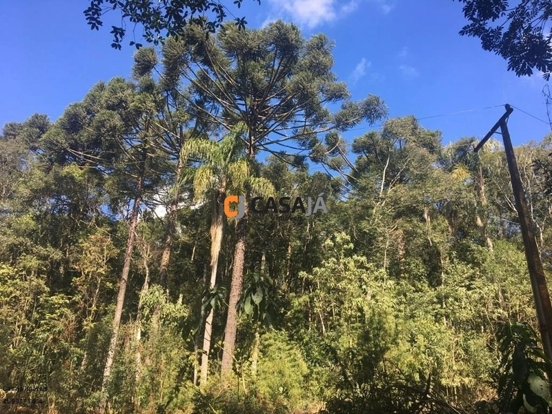 Terreno de 43.000m² em Contenda – Construa Sua Chácara dos Sonhos!: 1ª foto da galeria de imagens do imóvel