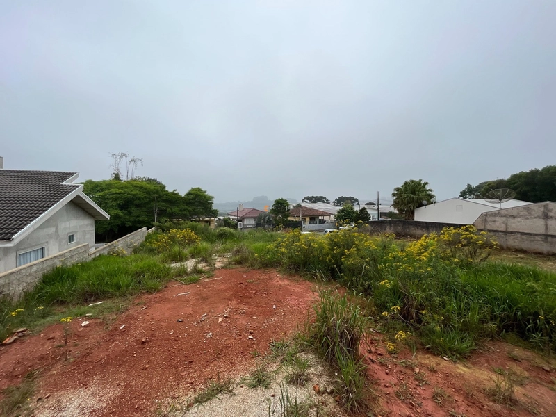 Terreno de 605m² no Centro de Balsa Nova – Excelente Oportunidade!: 4ª foto da galeria de imagens do imóvel