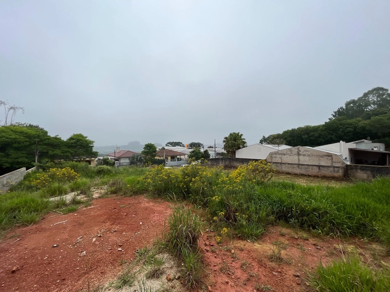 Terreno de 605m² no Centro de Balsa Nova – Excelente Oportunidade!: 3ª foto da galeria de imagens do imóvel