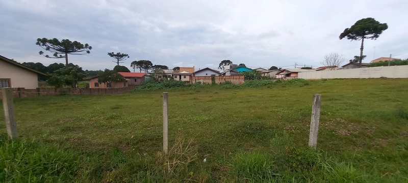 Terrenos Residenciais à Venda em Campo Largo!: 2ª foto da galeria de imagens do imóvel