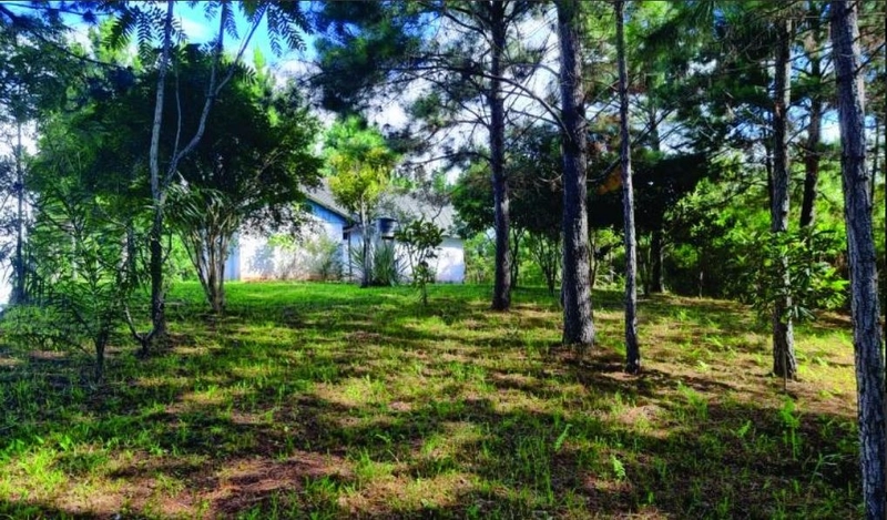 Terreno à Venda no Bairro São Caetano – Balsa Nova/PR: 5ª foto da galeria de imagens do imóvel