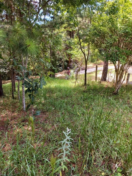 Terreno à Venda no Bairro São Caetano – Balsa Nova/PR: 4ª foto da galeria de imagens do imóvel