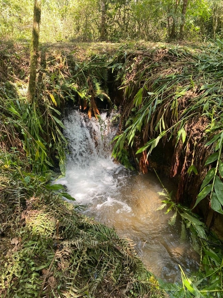 Belíssima Chácara à Venda em Três Córregos – Campo Largo/PR: 22ª foto da galeria de imagens do imóvel