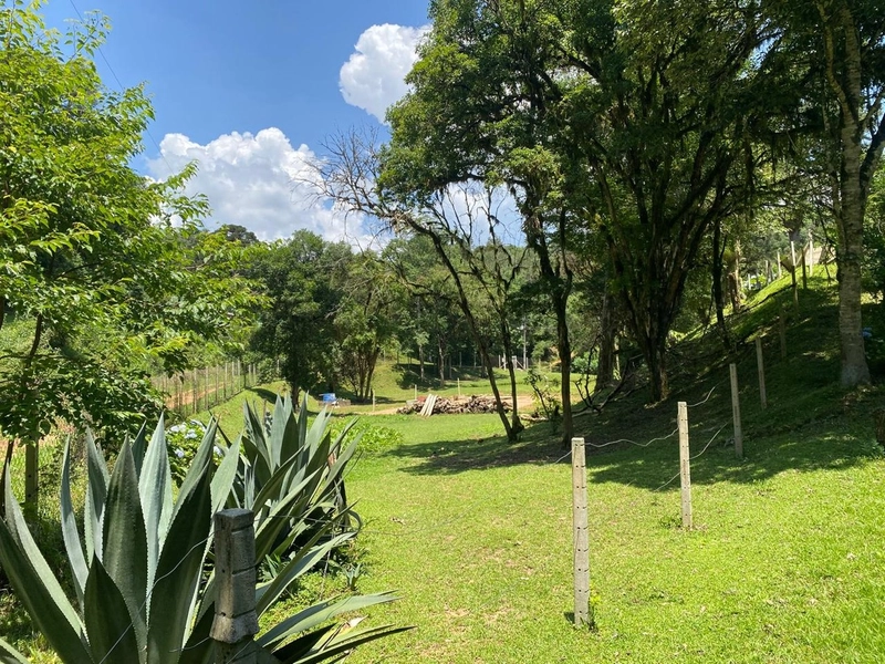 Belíssima Chácara à Venda em Três Córregos – Campo Largo/PR: 9ª foto da galeria de imagens do imóvel