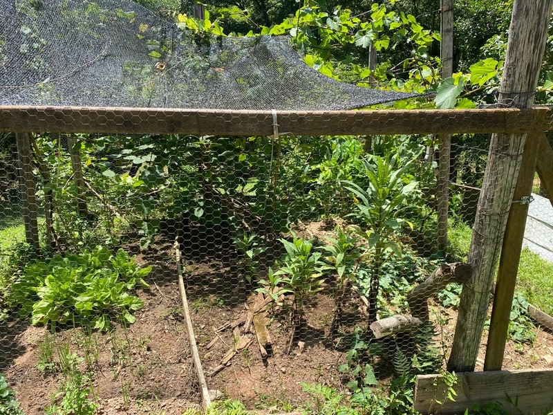 Belíssima Chácara à Venda em Três Córregos – Campo Largo/PR: 8ª foto da galeria de imagens do imóvel