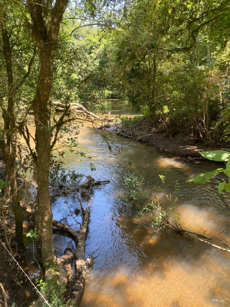 Belíssima Chácara à Venda em Três Córregos – Campo Largo/PR: 10ª foto da galeria de imagens do imóvel