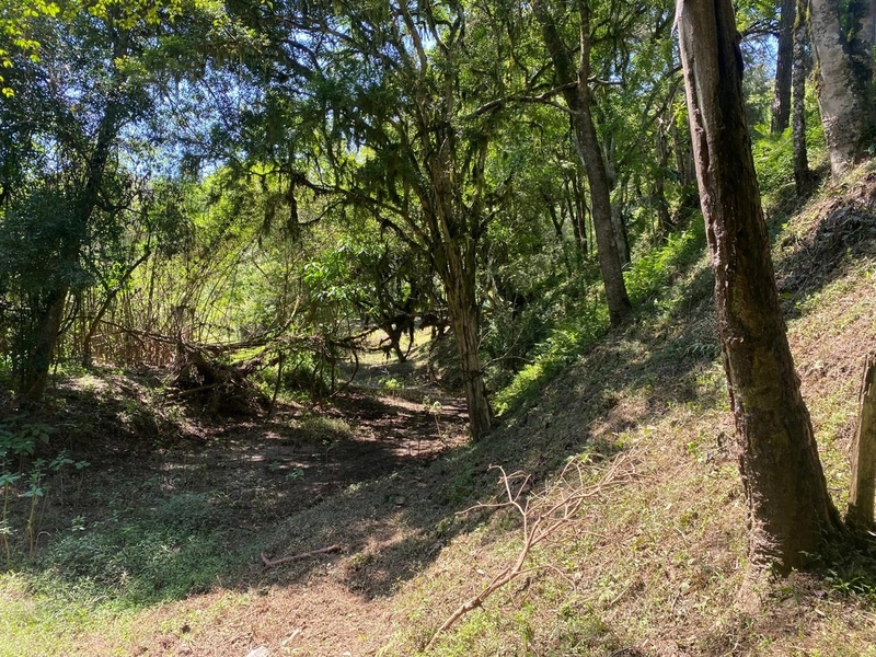 Belíssima Chácara à Venda em Três Córregos – Campo Largo/PR: 14ª foto da galeria de imagens do imóvel