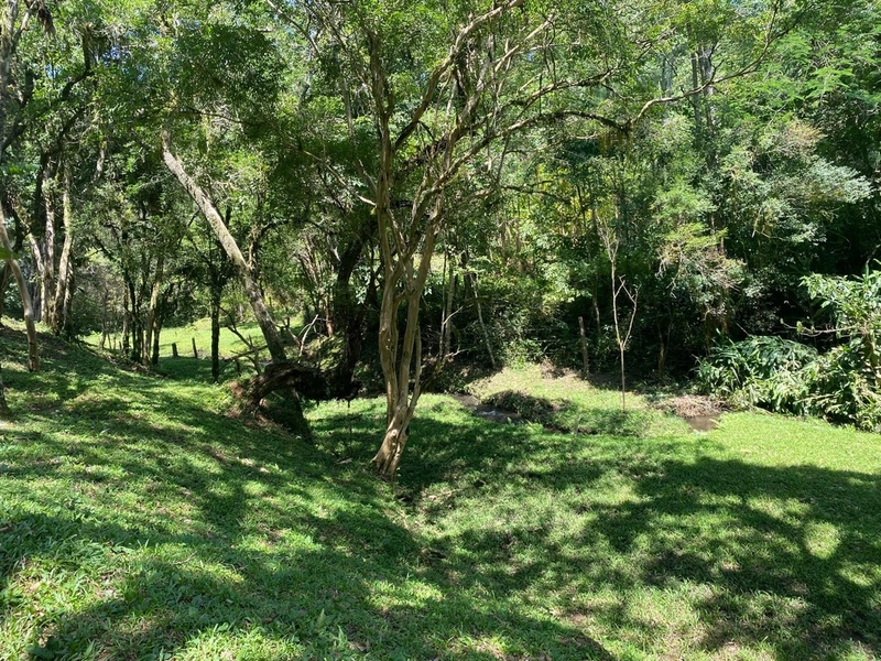 Belíssima Chácara à Venda em Três Córregos – Campo Largo/PR: 12ª foto da galeria de imagens do imóvel