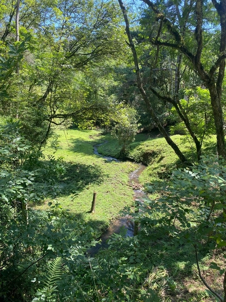Belíssima Chácara à Venda em Três Córregos – Campo Largo/PR: 20ª foto da galeria de imagens do imóvel