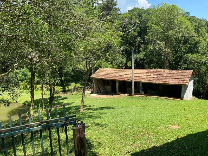 Belíssima Chácara à Venda em Três Córregos – Campo Largo/PR: 19ª foto da galeria de imagens do imóvel