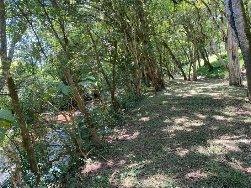 Belíssima Chácara à Venda em Três Córregos – Campo Largo/PR: 11ª foto da galeria de imagens do imóvel
